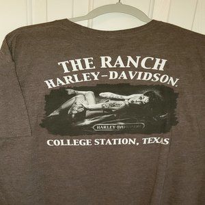 Harley Davidson T Shirt, grey, XXL